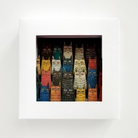 Schach808, Estados Unidos